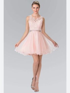 Tadashi Shoji Blush Pink Lace & Tulle Evening Dress